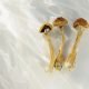 Health Canada approves low-dose psilocybin mental health clinical trial  