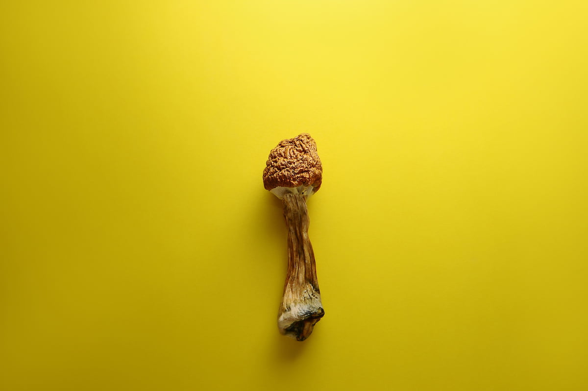 First patient dosed in low-dose psilocybin trial