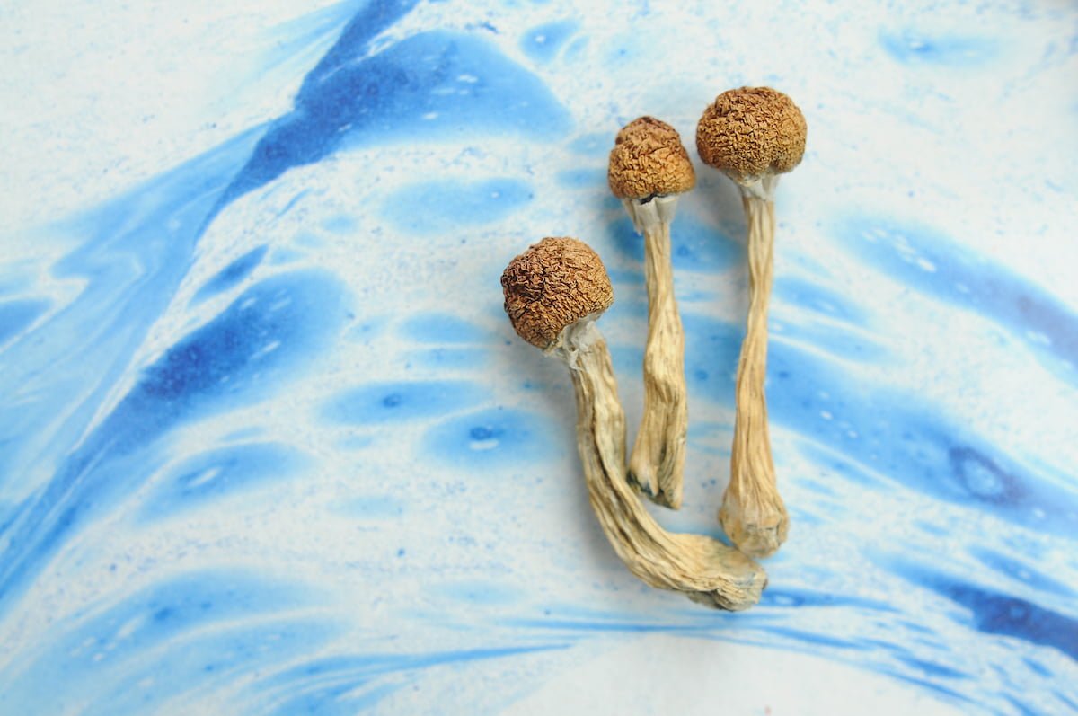 Is psilocybin safe to administer under medical supervision? 