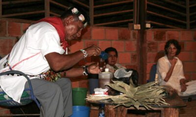 Music and ayahuasca: treating addiction in men