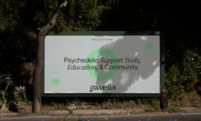 Gwella: providing tools for psychedelic education